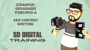 SEO Content Writing Zirakpur Derabassi Panchkula